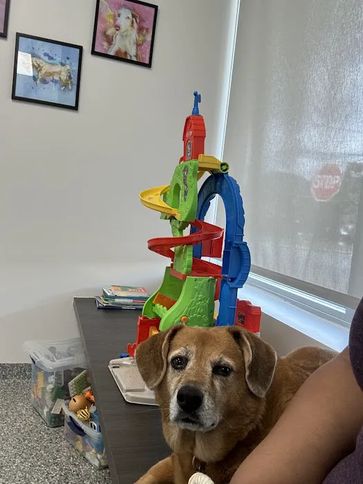 Littlepage Animal Hospital 1