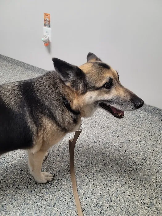 Littlepage Animal Hospital 2