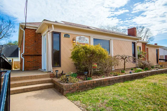 Just Cats Vet Clinic 12