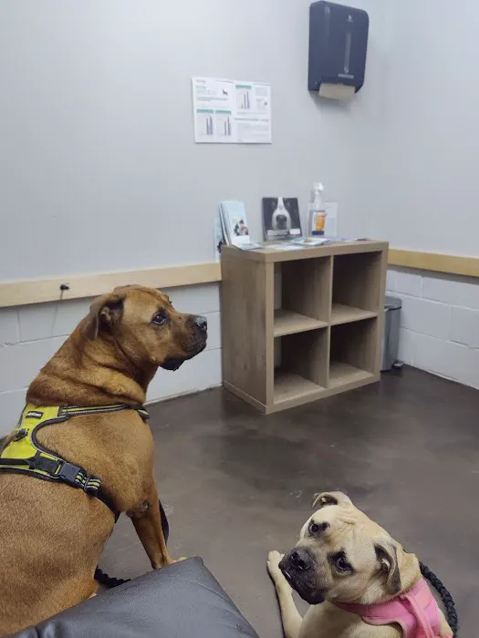 Martin Veterinary Services 6