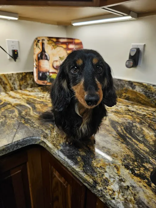 Martin Veterinary Services 7