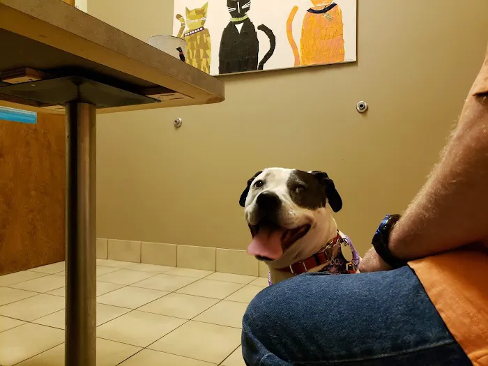 Walker Canine Care 12