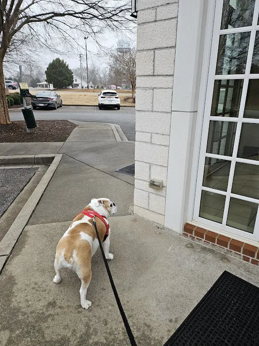 Walker Canine Care 12