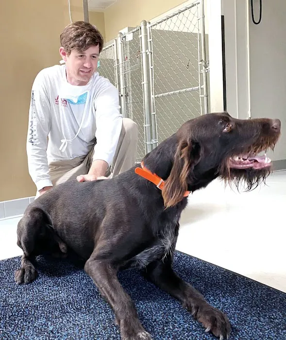 Walker Canine Care 12