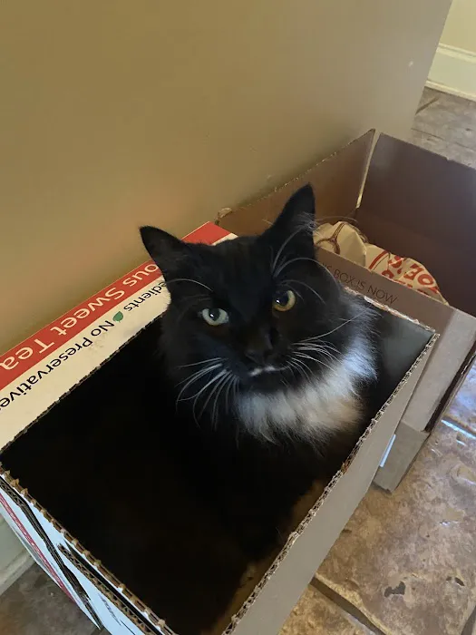 Outlaw Veterinary Clinic 12