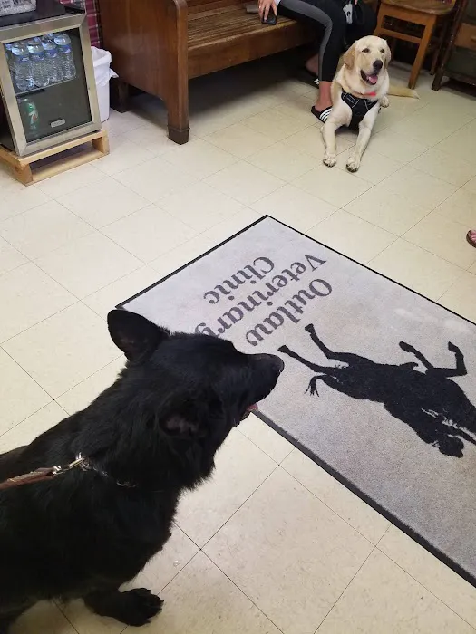 Outlaw Veterinary Clinic 12