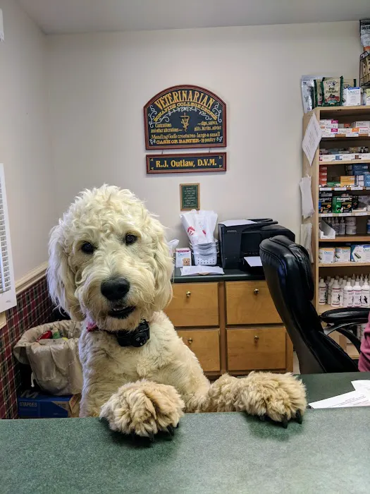 Outlaw Veterinary Clinic 12