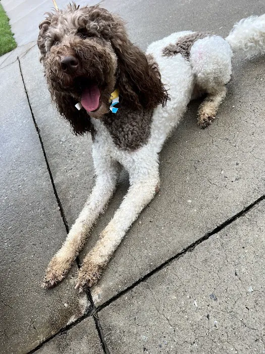 Hendricks Veterinary Hospital LLC 12