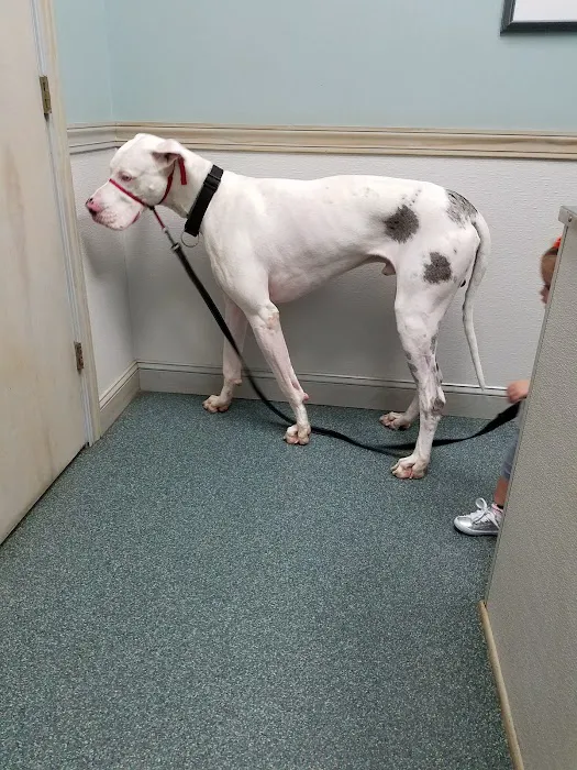 Hendricks Veterinary Hospital LLC 12