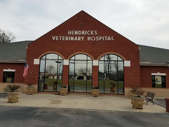 Hendricks Veterinary Hospital LLC 12