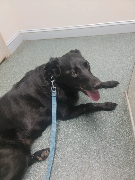 Hendricks Veterinary Hospital LLC 12