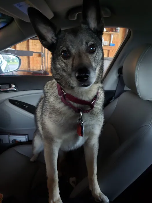 Wildflower Traveling Vet 12