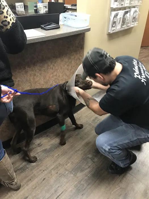Magnolia Veterinary Hospital 12
