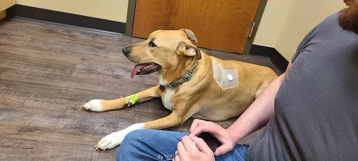 Magnolia Veterinary Hospital 12