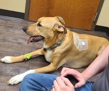 Magnolia Veterinary Hospital