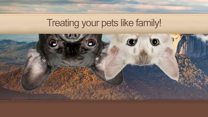 Paw Prints Animal Hospital 12