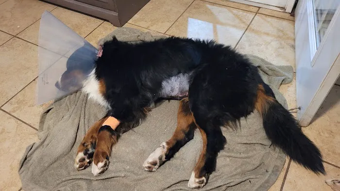 Banfield Pet Hospital 12