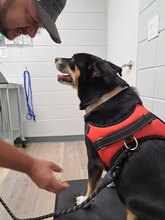 Clearview Animal Hospital 12