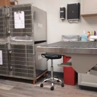 Clearview Animal Hospital ico