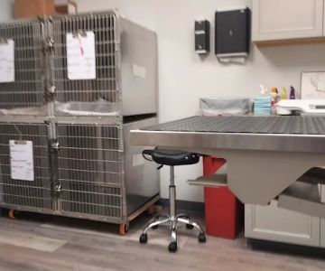 Clearview Animal Hospital