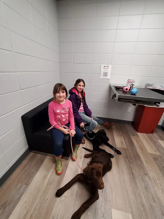 Clearview Animal Hospital 12