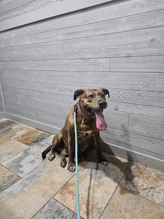 Langston Veterinary Clinic 12
