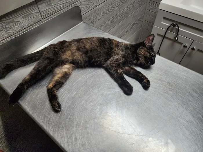 Langston Veterinary Clinic 12