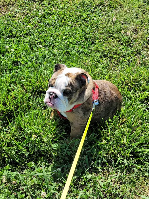 Lavonia Animal Hospital 10