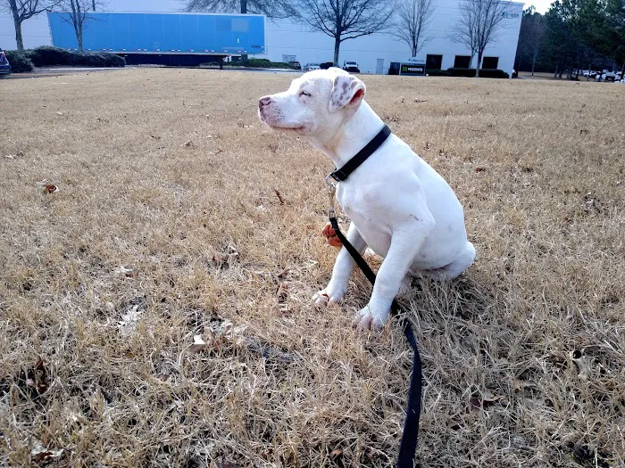 Tugaloo Animal Hospital 12