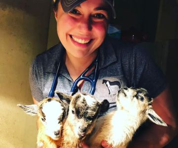 Hartwell Equine Veterinary Services