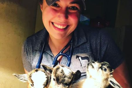 Hartwell Equine Veterinary Services