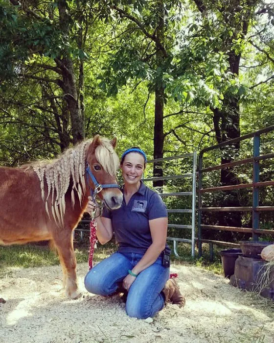 Hartwell Equine Veterinary Services 12