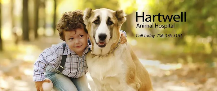 Hartwell Animal Hospital 12