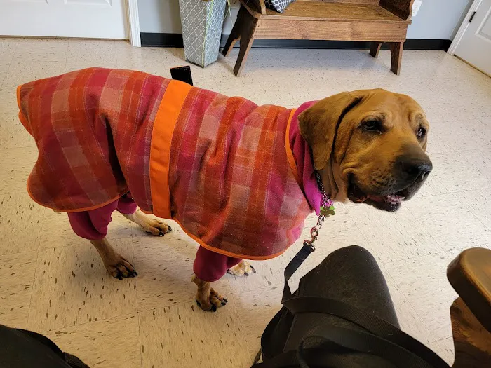 All Creatures Veterinary Services (formerly Elberton Animal Hospital) 12