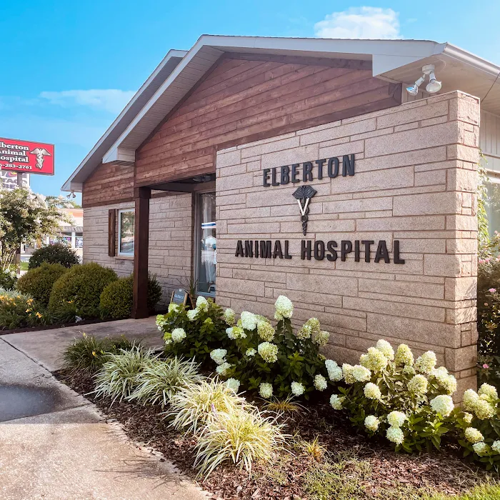 All Creatures Veterinary Services (formerly Elberton Animal Hospital) 12