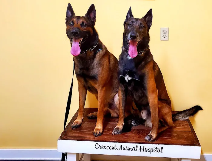 Crescent Animal Hospital 12