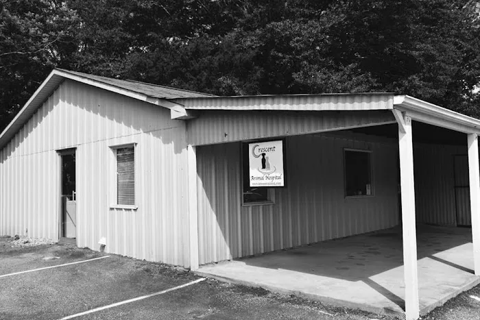 Crescent Animal Hospital 12