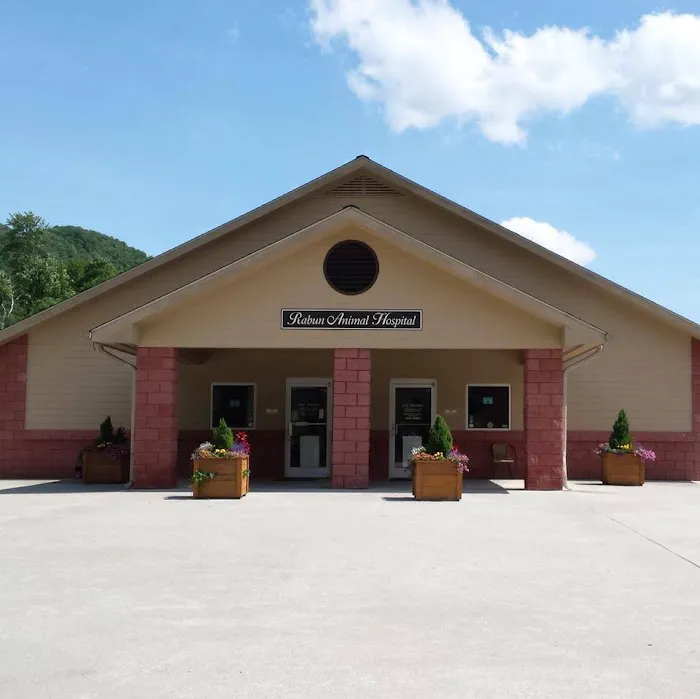 Rabun Animal Hospital 12