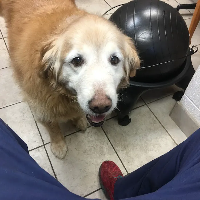 Rabun Animal Hospital 12