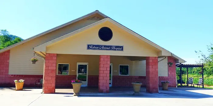 Rabun Animal Hospital 12
