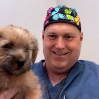 Arbitter Veterinary Hospital ico