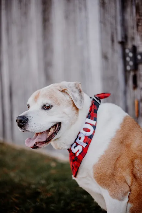Clayton Veterinary Hospital 12
