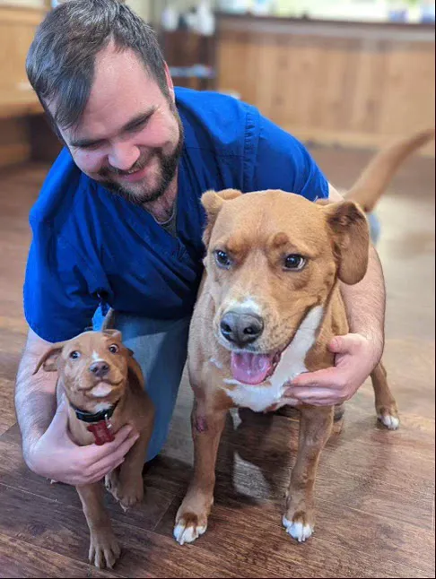 Clayton Veterinary Hospital 12