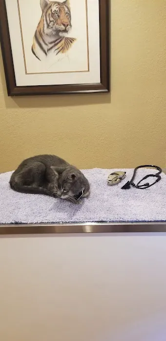 Franklin Veterinary Hospital, PA 4