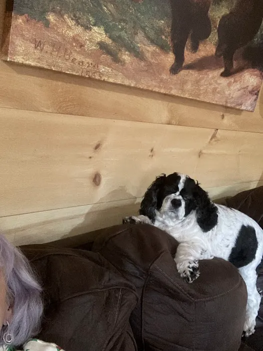 Franklin Veterinary Hospital, PA 1