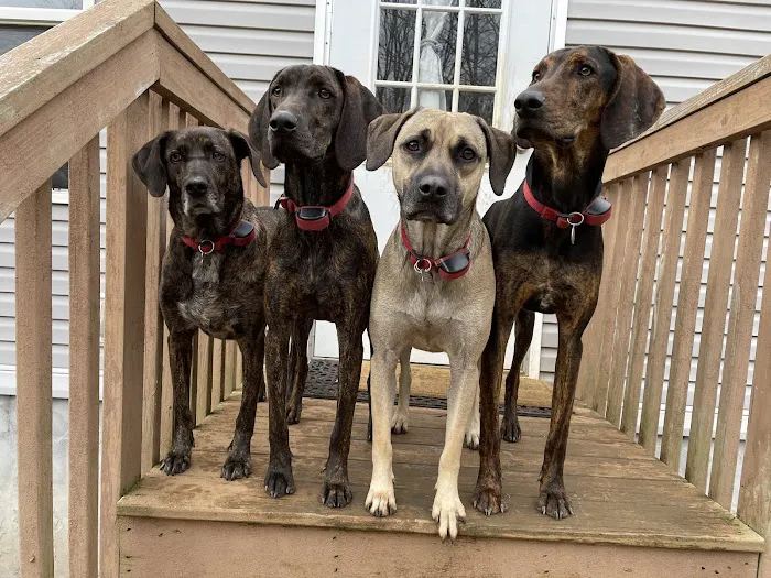 Franklin Veterinary Hospital, PA 3