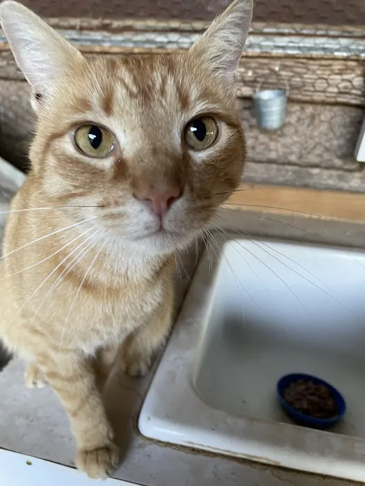 Franklin Veterinary Hospital, PA 7