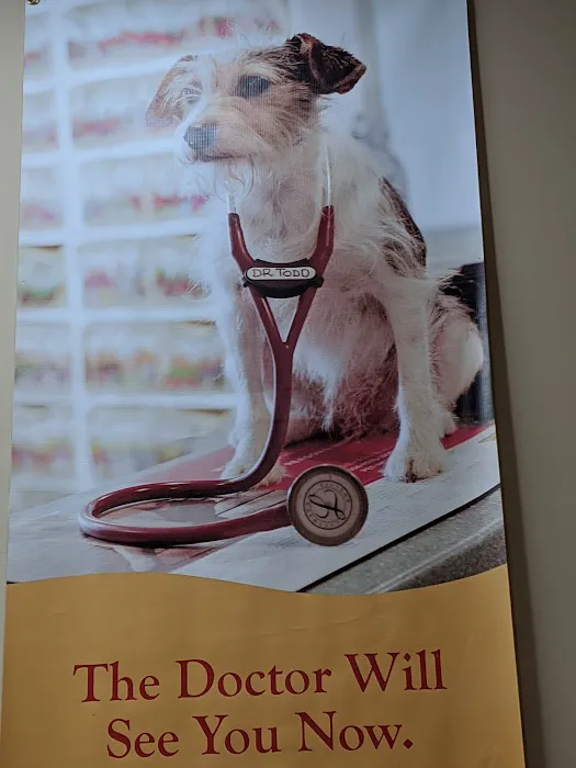 Noah's Ark Companion Animal: Todd Thomas DVM 3