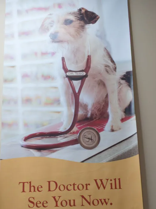 Noah's Ark Companion Animal: Todd Thomas DVM 4