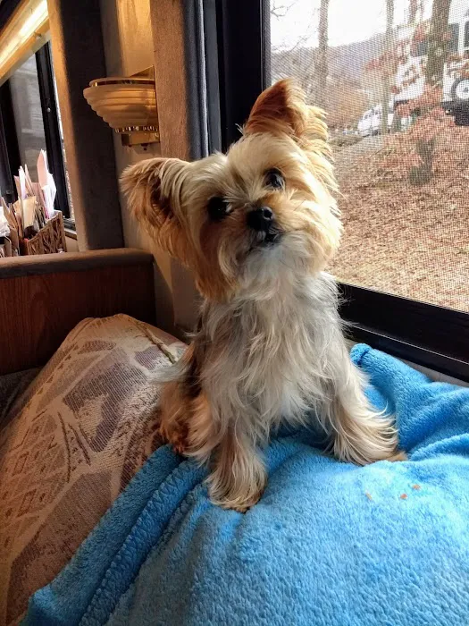 Noah's Ark Companion Animal Hospital 7